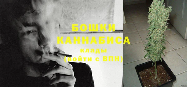 гидра Михайловск