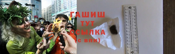 гидра Михайловск