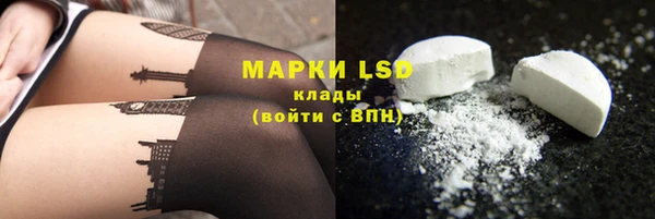гидра Михайловск