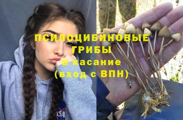 амф Михайлов