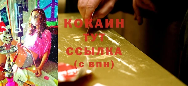 гидра Михайловск
