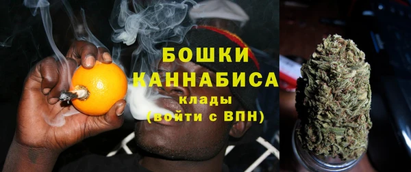 гидра Михайловск