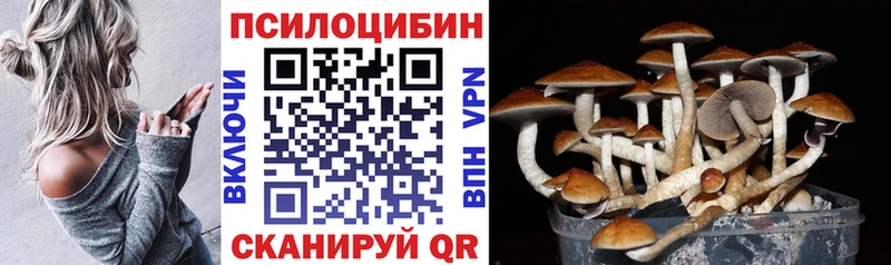 Псилоцибиновые грибы прущие грибы  где найти наркотики  Удомля 