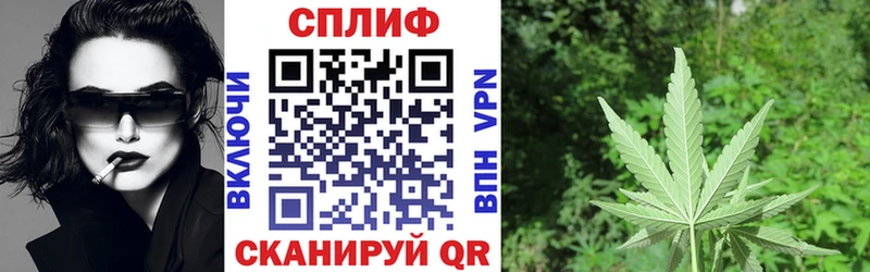 Марихуана сатива Удомля